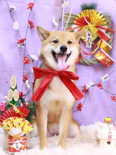 20230118リンちゃん